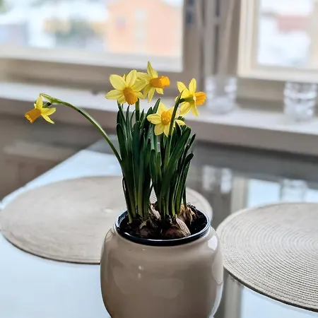 アパート 18 - Cozy With View, 7th Floor ケミ