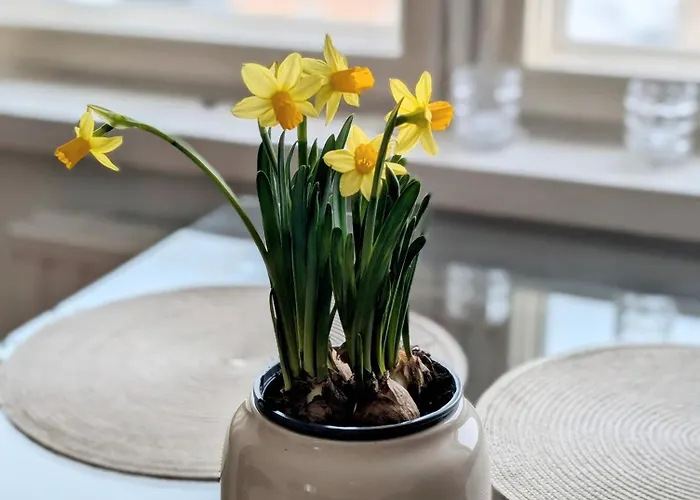 アパート 18 - Cozy With View, 7th Floor ケミ